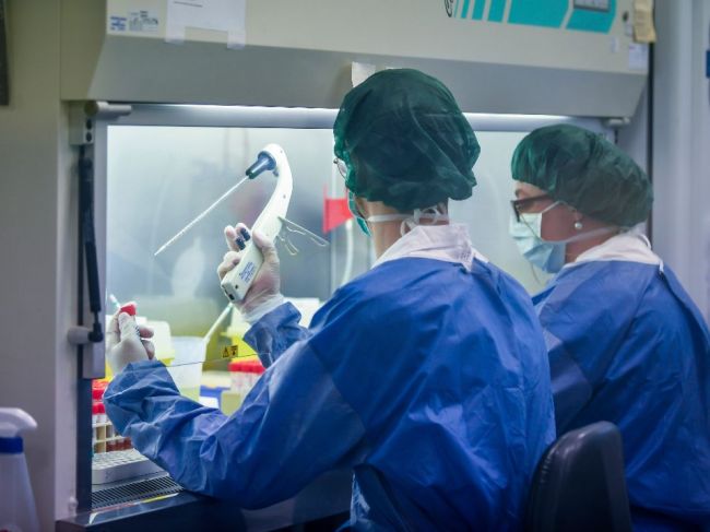 Vo svete sa nakazilo koronavírusom vyše 605.000 ľudí, takmer 28.000 zomrelo