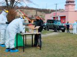 V rámci testovania v rómskych komunitách potvrdili COVID-19