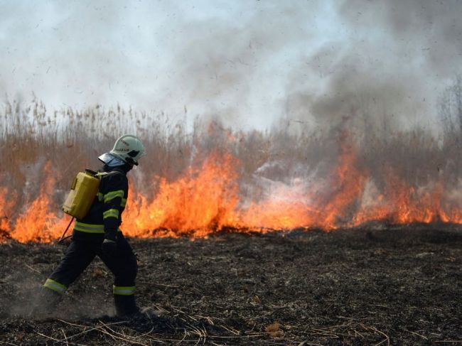 Požiar suchej trávy a lesnej mladiny likvidovali hasiči vyše sedem hodín