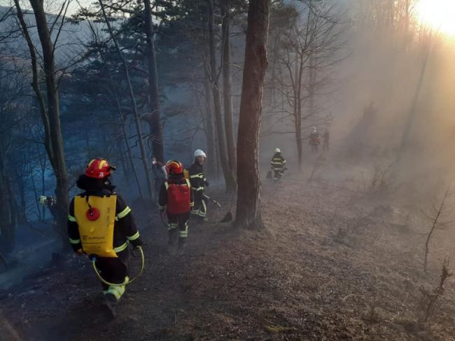 Lesníci vyzývajú ľudí, aby sa v prírode správali zodpovedne