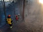 Lesníci vyzývajú ľudí, aby sa v prírode správali zodpovedne