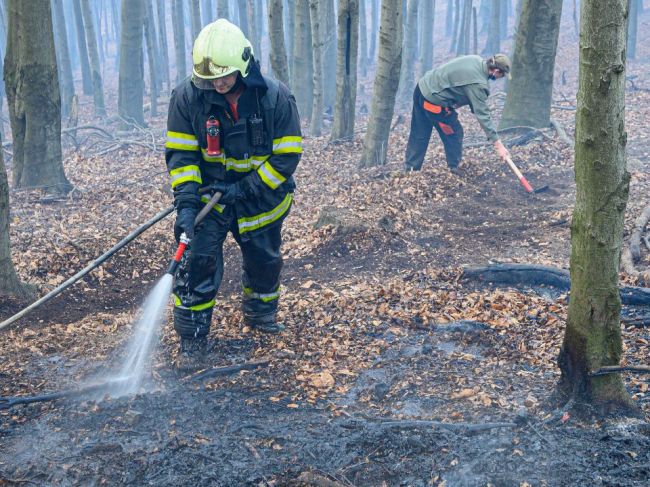 Hasiči zlikvidovali požiar lesa a lúky na Pezinskej Babe