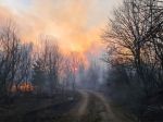 Maďarskí meteorológovia: Požiar v Černobyli nespôsobil nárast radiacie