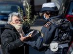 Žena v Ríme dostala pokutu za vychádzku s korytnačkou