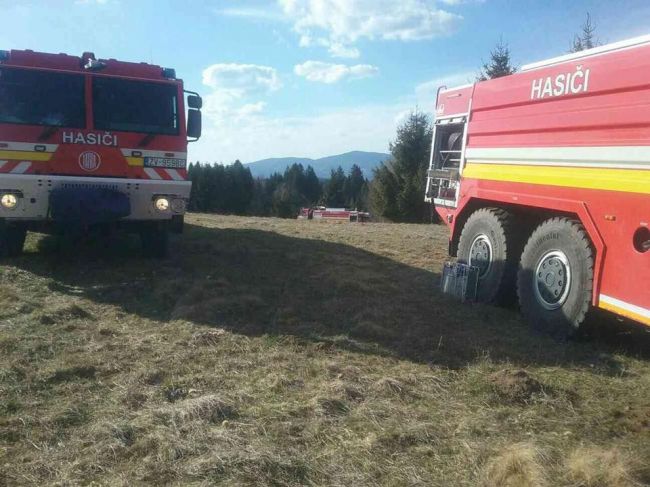Desiatky hasičov zasahujú pri požiari borovicového lesa