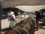 Ruská armáda dodala tento týždeň obyvateľom Sýrie vyše 31 ton potravín