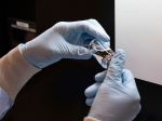 Ľudia s COVID-19 užívajúci remdesivir mali o 31 % rýchlejší čas vyliečenia