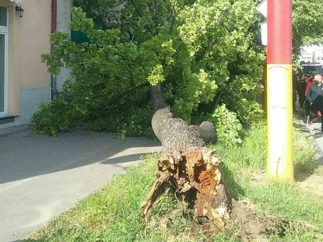 Hasiči zasahovali od pondelka 60-krát v súvislosti so silným vetrom