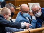 Suja: Pomoc pri koronakríze je z okolitých štátov najpomalšia u nás