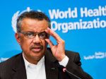 Členské štáty WHO súhlasia s vyšetrovaním reakcie agentúry na pandémiu