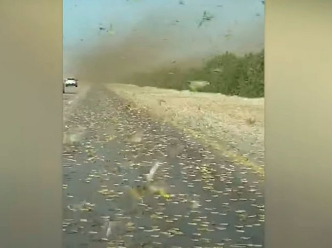 Video: Blízky Východ zasiahla pohroma. Takto tam vyzerajú cesty počas dňa