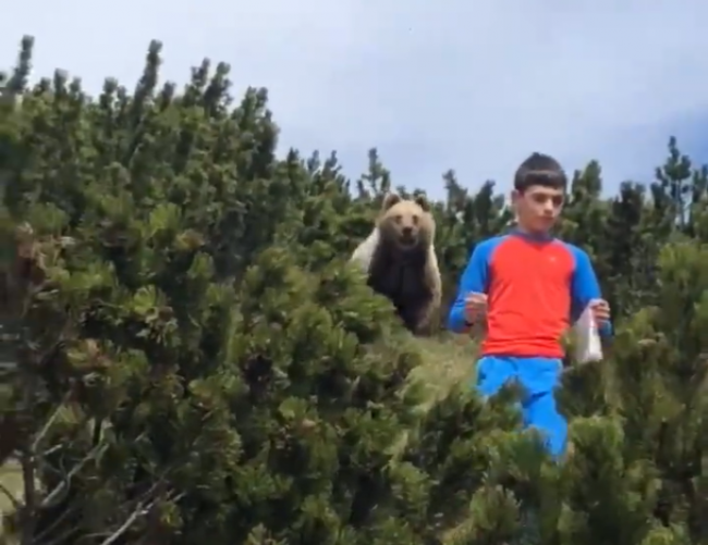 Video: Za chlapcom sa zjavil medveď, jeho reakcia bola ukážková