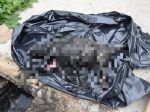 V žumpe našli utýraného psa, padlo už obvinenie