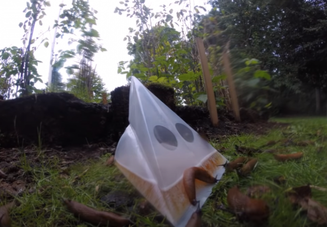 Video: Takto sa jednoducho zbavíte slimákov a slizniakov v záhrade