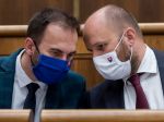 OĽaNO zrejme tiež predloží legislatívu súvisiacu s ochranou života