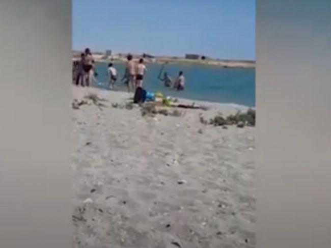 Video: Turisti zbili tuleňa do bezvedomia, aby sa s ním deti mohli odfotiť