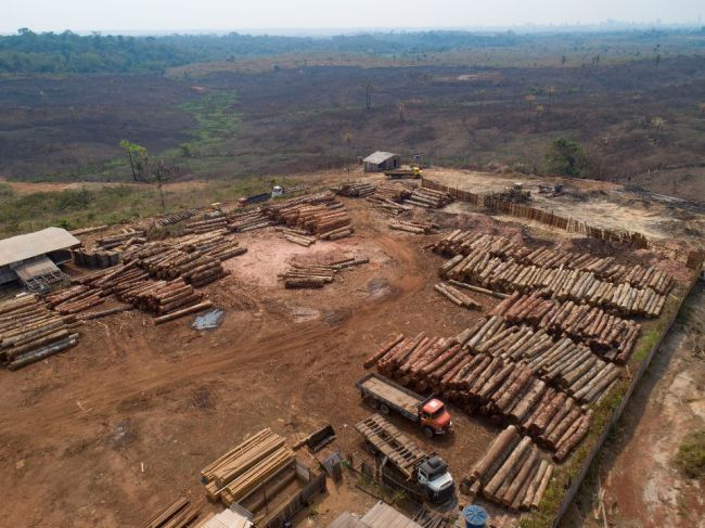 Odlesňovanie amazonského pralesa sa oproti minulému roku zvýšilo o 25 percent