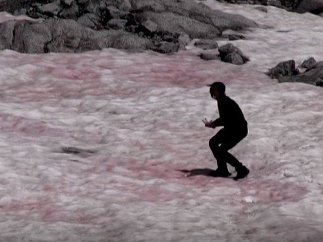 Video: V Alpách sa objavil “melónový sneh”. Podľa vedcov to neveští nič dobré