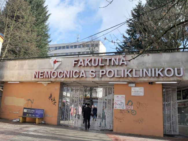 Vo Fakultnej nemocnici s poliklinikou v Žiline pribúdajú pacienti infikovaní kliešťom
