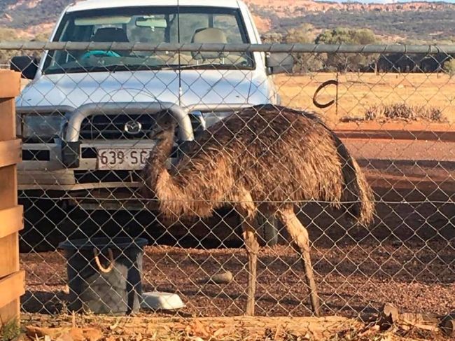 Queensland zatvorí od soboty hranice pre obyvateľov Sydney