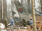 Pozostalí obetí havárie v Hejciach trvajú na nevine pilotov a posádky lietadla