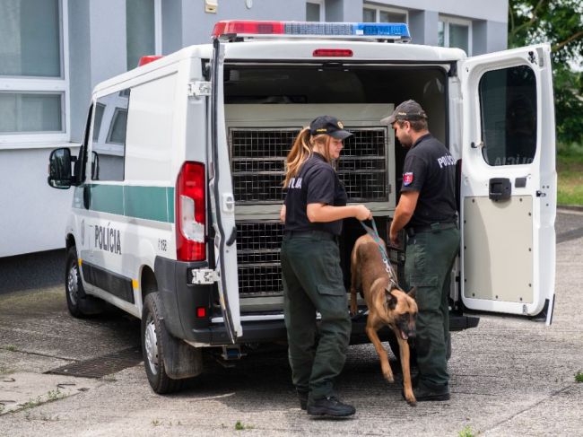 Polícia hľadá nové policajné psy