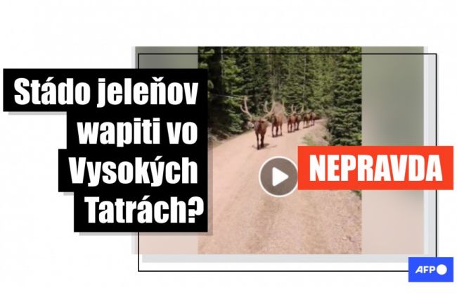 HOAX: Video s jeleňmi nebolo natočené na Podbanskom, ale v Colorade