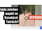 HOAX: Video s jeleňmi nebolo natočené na Podbanskom, ale v Colorade