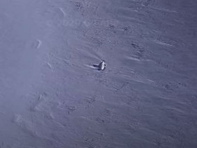 Video: Na Google mapách sa objavila záhadná ľadová loď