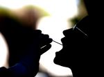Leví podiel na prípadoch nákazy dovezených do Slovinska má Chorvátsko