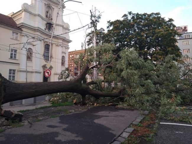 Bratislava po búrke upratuje polámané stromy a konáre