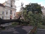 Bratislava po búrke upratuje polámané stromy a konáre