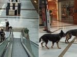 Polícia evakuovala nákupné centrum
