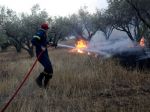 V Grécku vyčína vyše 70 lesných požiarov, evakuovali tisíce domov