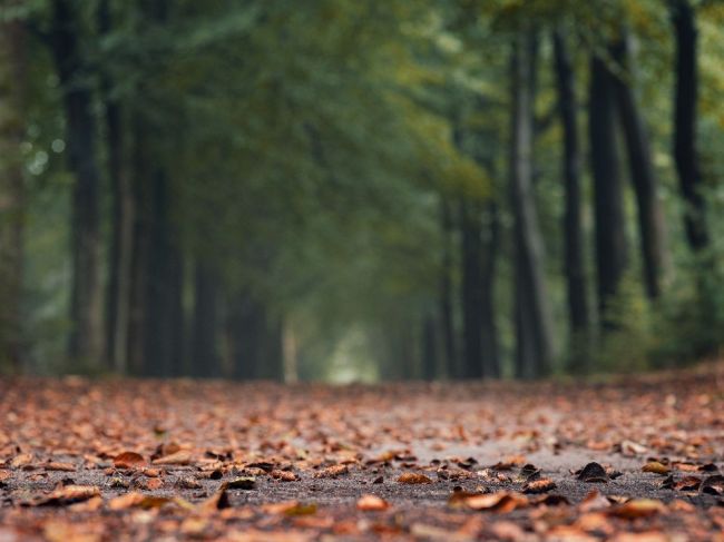 Slovensko čaká koncom týždňa výraznejšie ochladenie