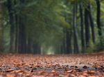 Slovensko čaká koncom týždňa výraznejšie ochladenie