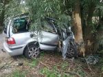 Náraz do stromu neprežila jedna osoba