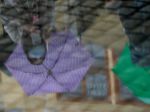 Nemecko zaradilo medzi rizikové oblasti aj Budapešť, Viedeň a Stredočeský kraj