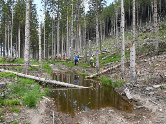 V prameni v Demänovskej doline sa nachádza fekálny odpad, tvrdí OZ Za našu vodu