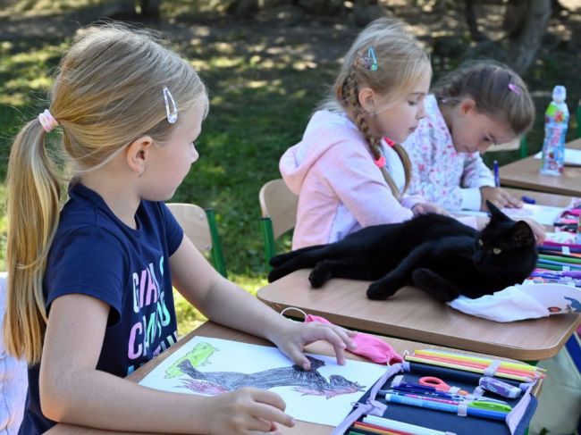 Na Slovensku je celkovo zatvorených 17 škôl, doma je už viac ako 8000 detí