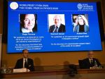 Nobelovu cenu za fyziku 2020 udelili za výskum v oblasti čiernych dier