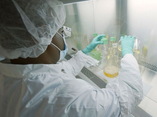 Spoločnosť Eli Lilly pozastavuje skúšky liečby protilátkami proti COVID-19