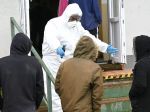 Na Slovensku pribudli štyri úmrtia na pľúcnu formu ochorenia COVID-19