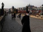 Pre Prymulu hrozí možno strata dôvery ľudí v protikoronavírusové opatrenia