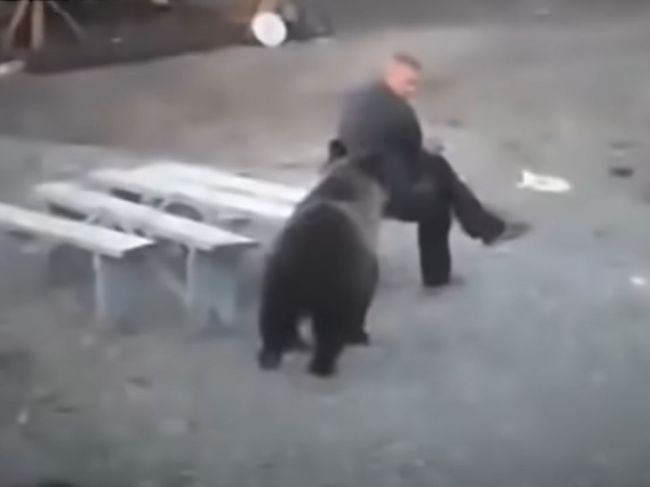 Video: Medveď sa priblížil k mužovi, po tejto reakcii šelma radšej ušla