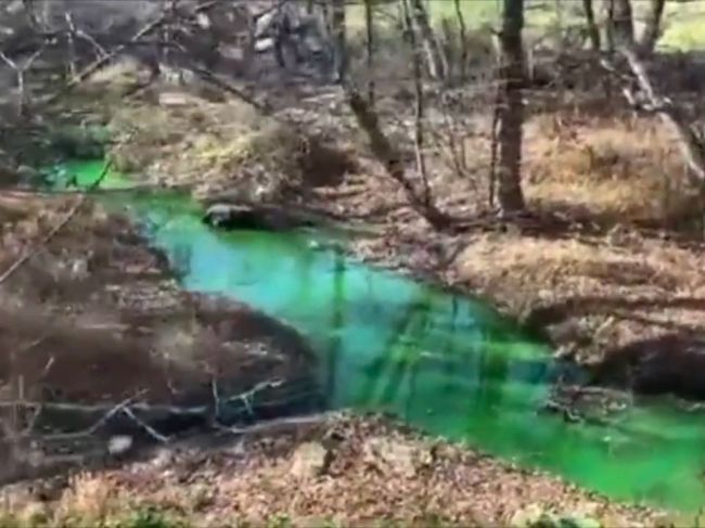 Video: Rieka pred očami ochranárov zmenila farbu, miestni to považovali za výstrelok
