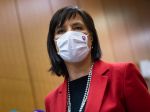 Remišová: Celoplošné testovanie je úspešné a dobre pripravené