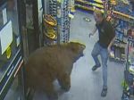 Video: Na čerpaciu stanicu vtrhol medveď