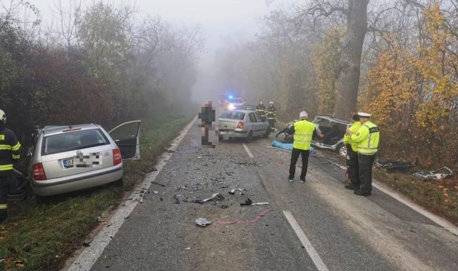 Vodič auta prišiel o život pri čelnej zrážke v hmle