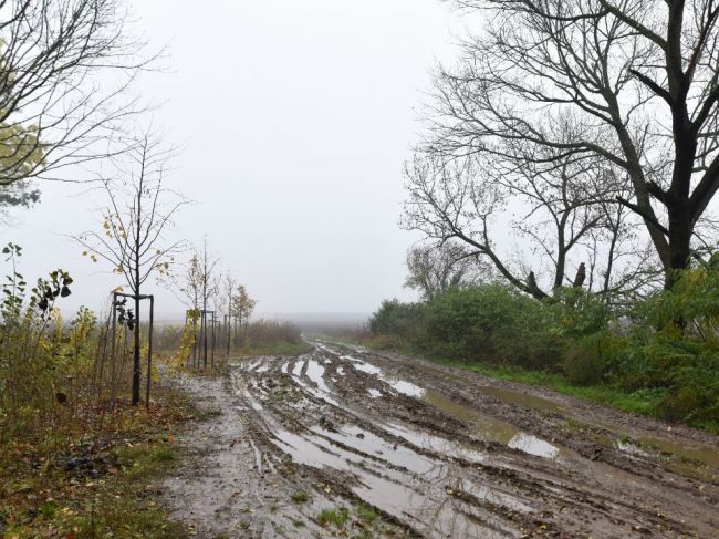 SHMÚ upozorňuje na hmlu počas utorkového dopoludnia